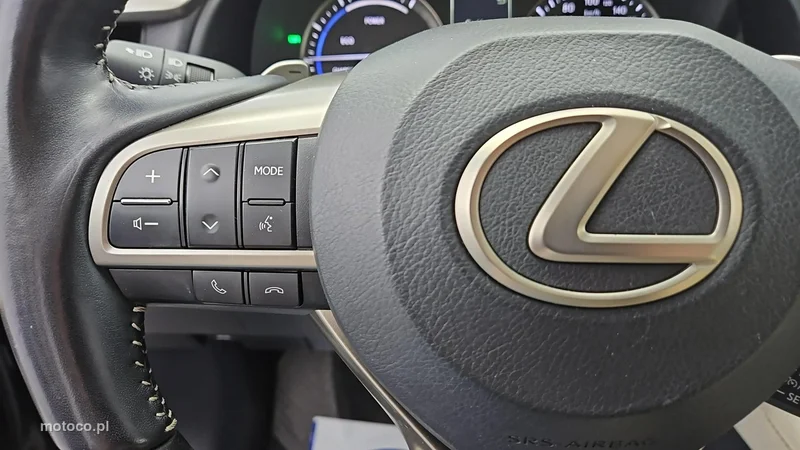 Lexus RX 16