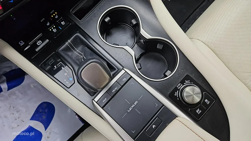 Lexus RX 18