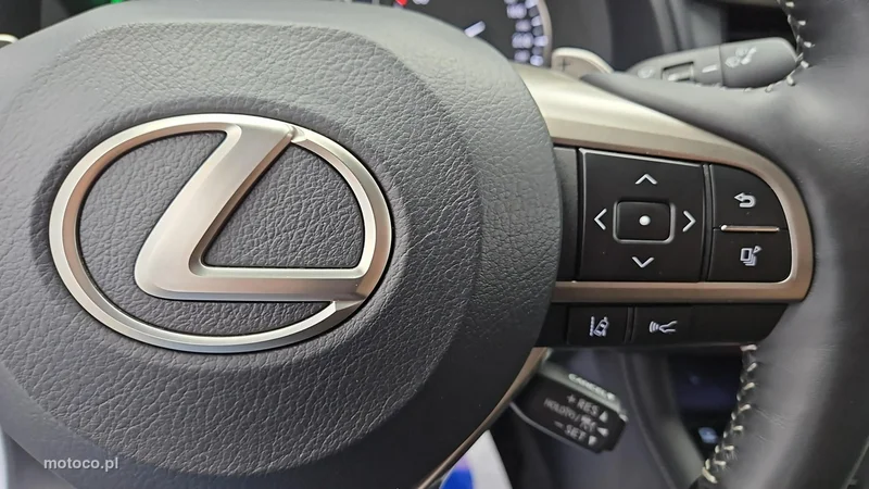 Lexus RX 15