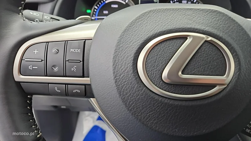 Lexus RX 16