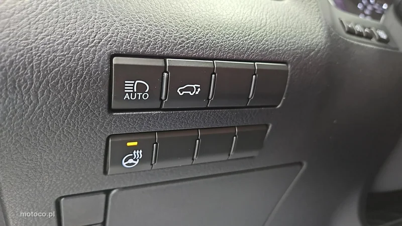 Lexus RX 17