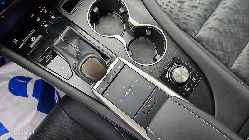 Lexus RX 18