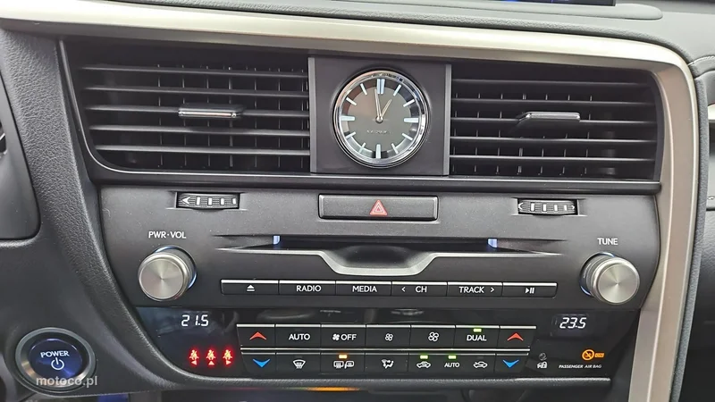 Lexus RX 19