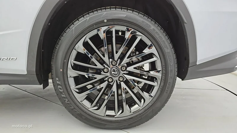 Lexus RX 26