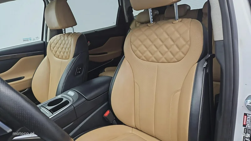 Hyundai SANTA FE 11