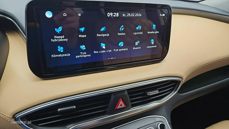 Hyundai SANTA FE 19