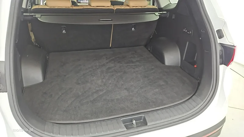 Hyundai SANTA FE 25