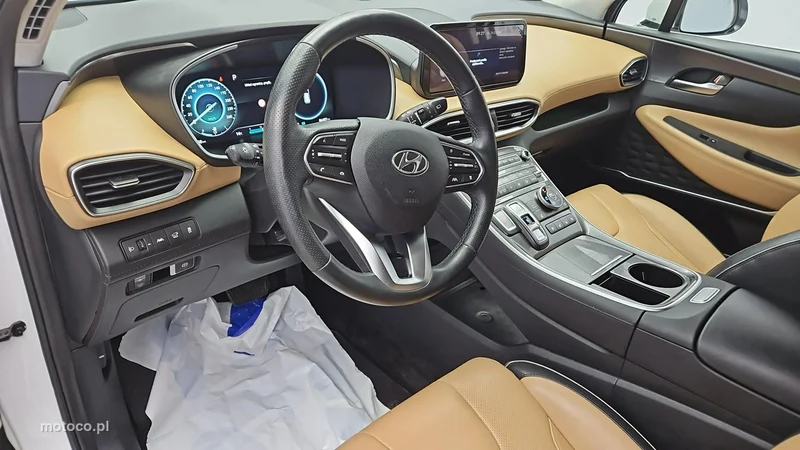 Hyundai SANTA FE 9
