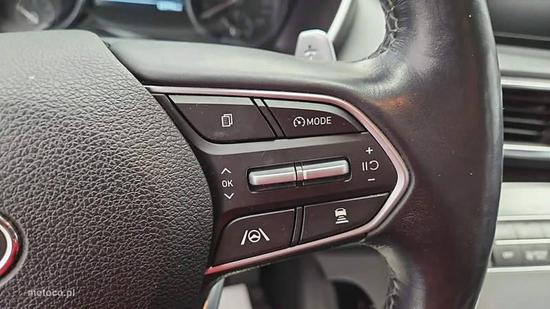 Hyundai SANTA FE 15