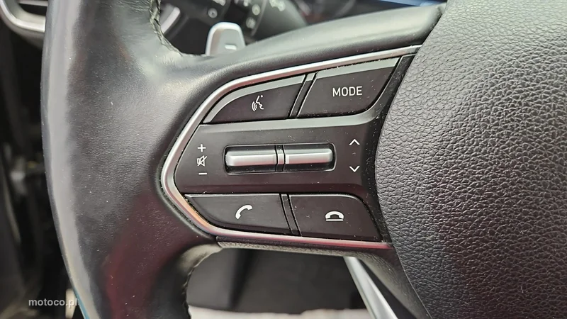 Hyundai SANTA FE 16