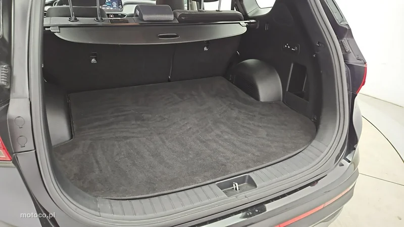 Hyundai SANTA FE 22