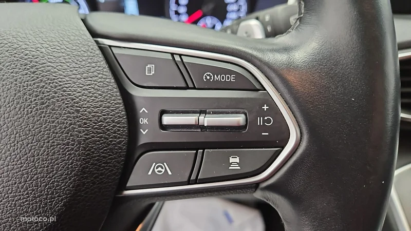 Hyundai SANTA FE 15