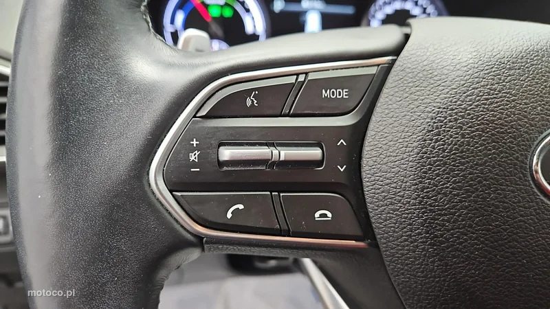 Hyundai SANTA FE 16