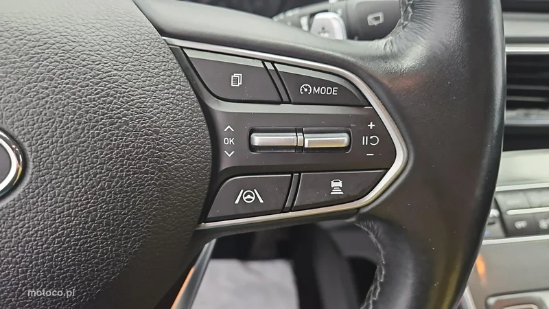 Hyundai SANTA FE 15