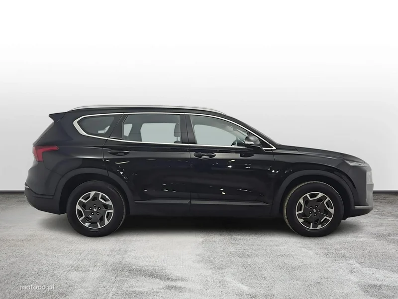 Hyundai SANTA FE 6