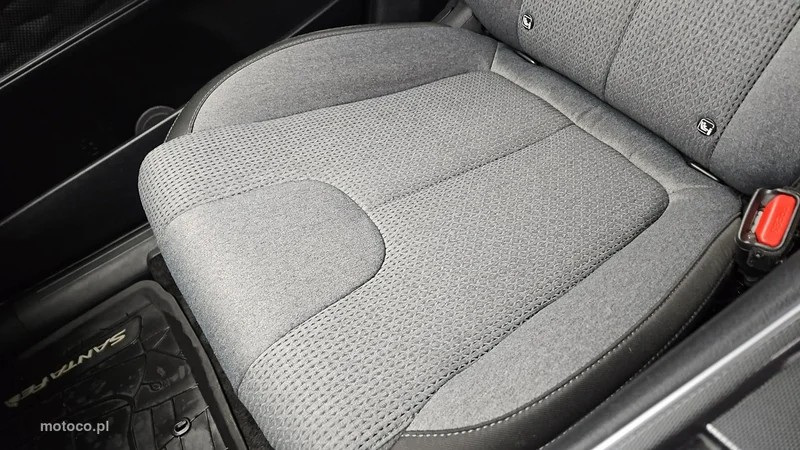 Hyundai SANTA FE 12
