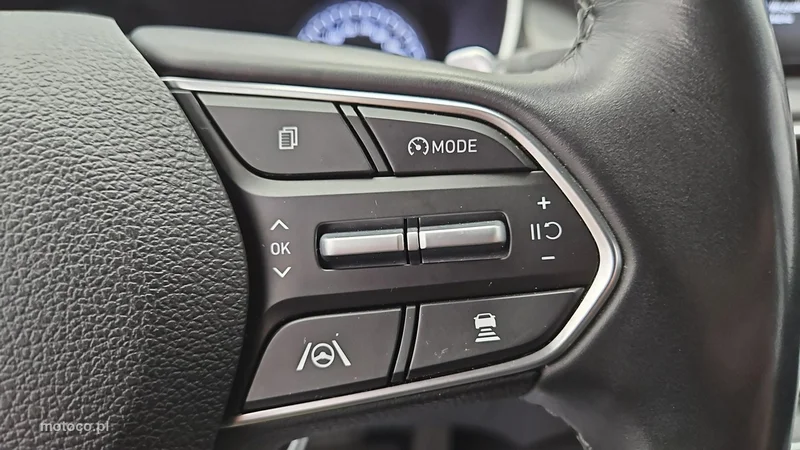 Hyundai SANTA FE 15