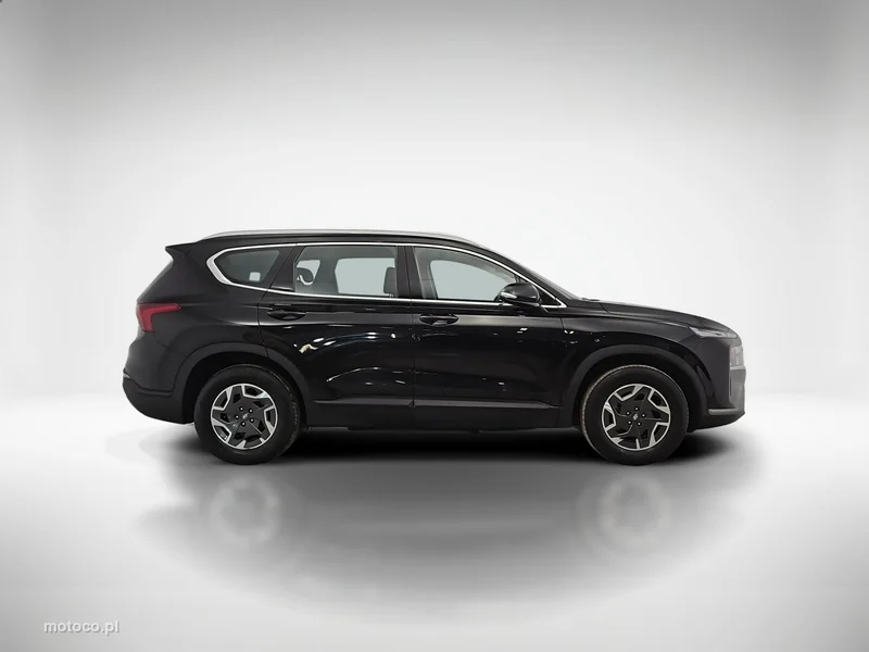 Hyundai SANTA FE 6