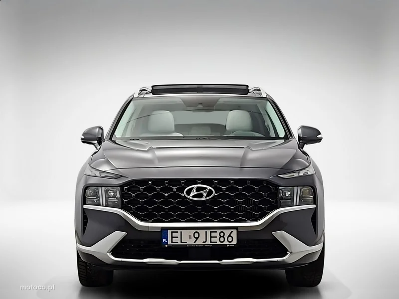 Hyundai SANTA FE 8