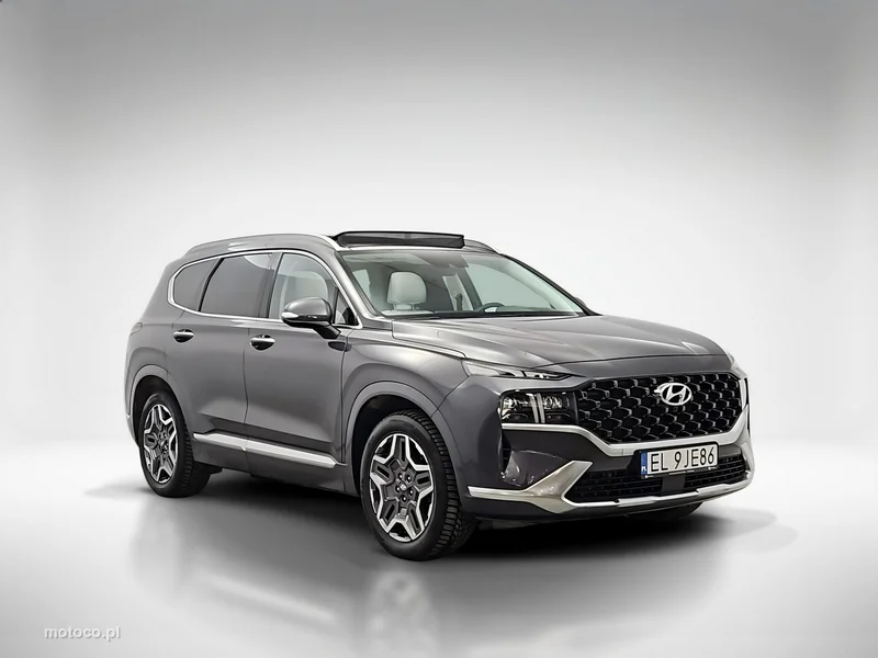 Hyundai SANTA FE 7