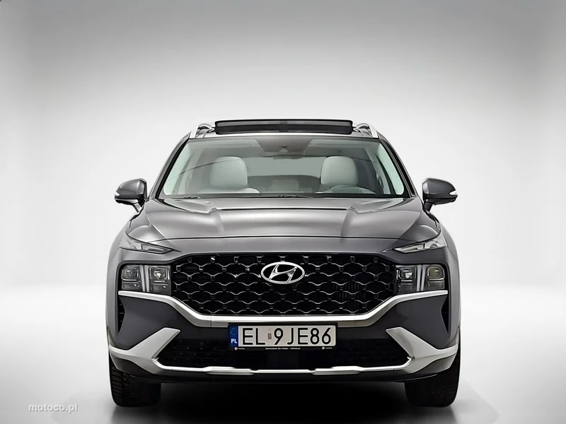 Hyundai SANTA FE 8