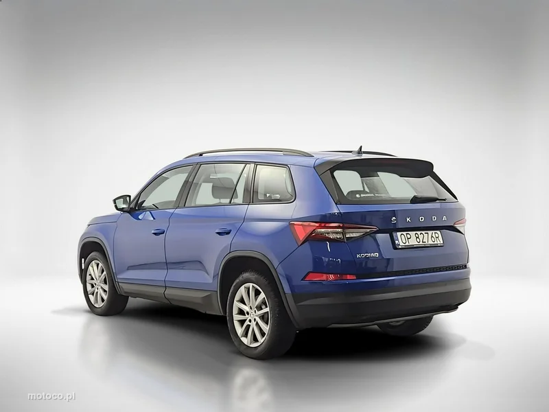 Skoda Kodiaq I 3