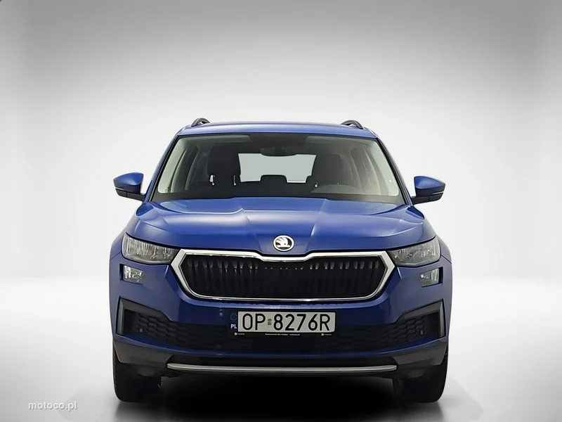 Skoda Kodiaq I 8