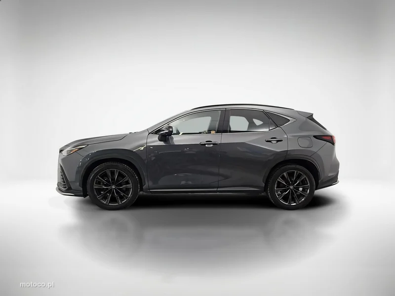 Lexus NX 2