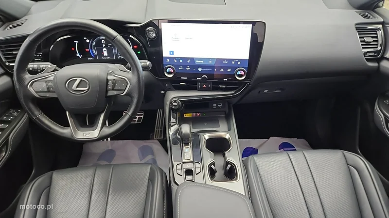 Lexus NX 13