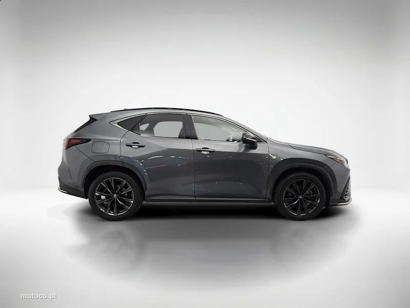 Lexus NX 6