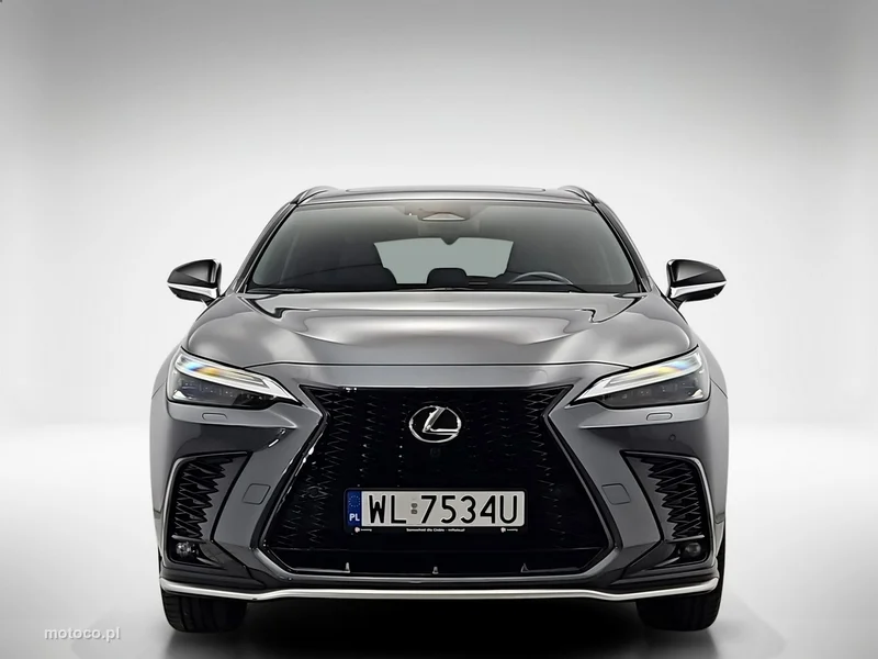 Lexus NX 8
