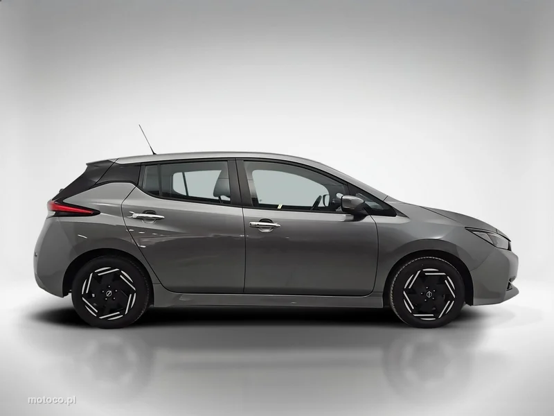 Nissan Leaf 6