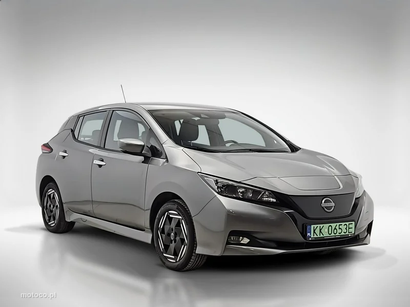 Nissan Leaf 7