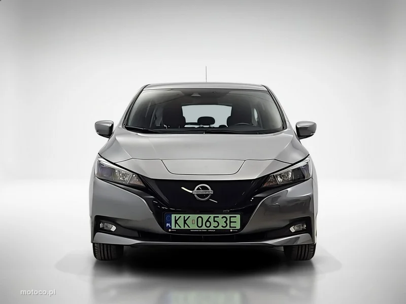 Nissan Leaf 8