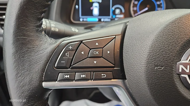 Nissan Leaf 15