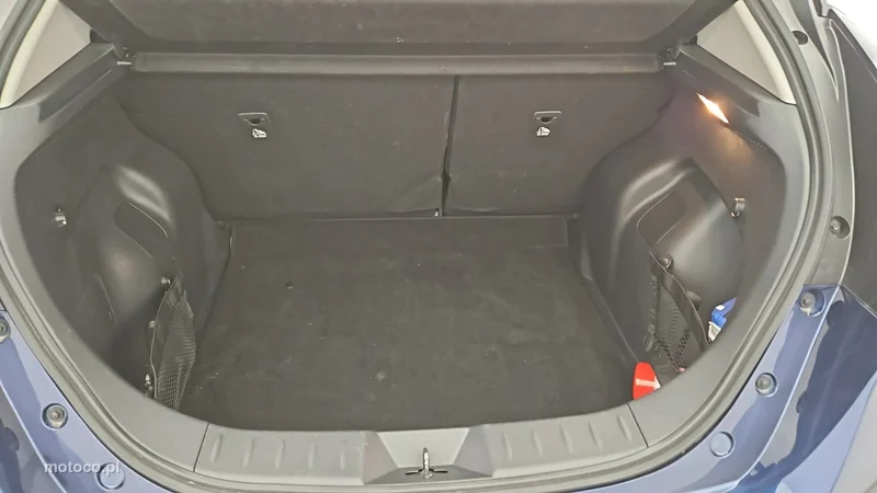 Nissan Leaf 22
