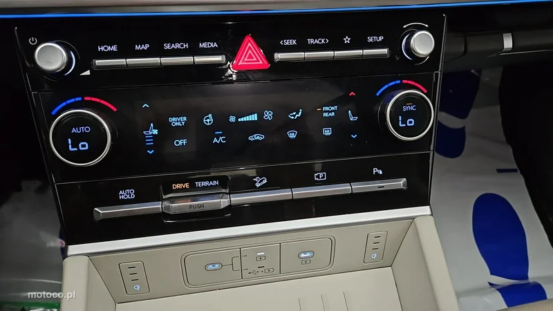 Hyundai SANTA FE 19