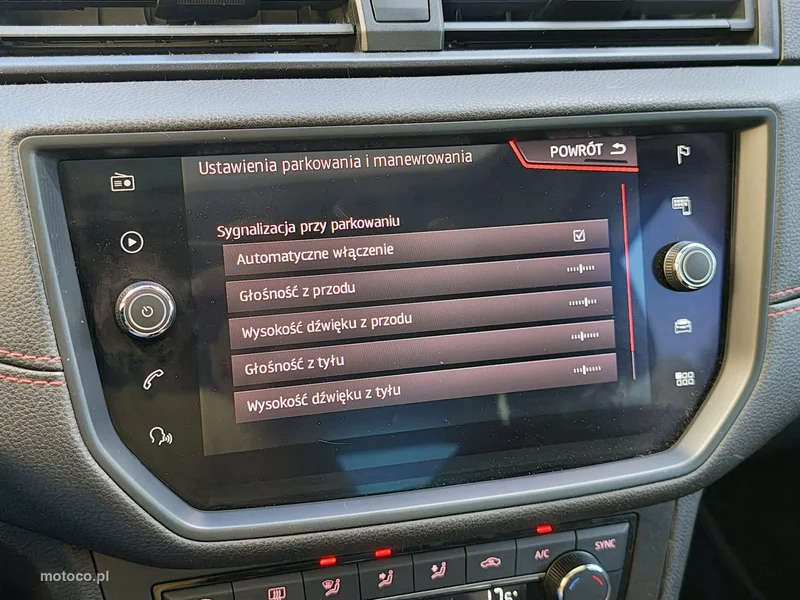 Seat Ibiza 21