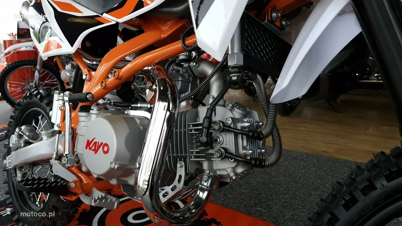 Kayo Inny 10