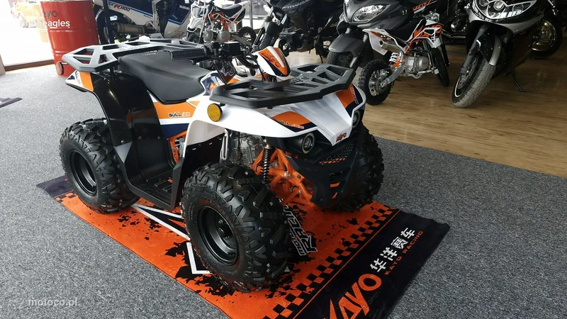 Kayo Inny 11