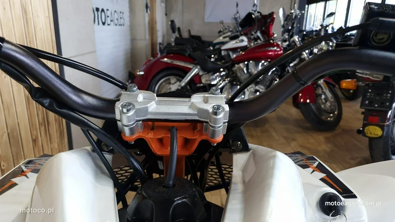 Kayo Inny 25