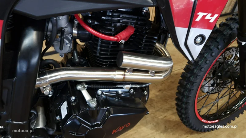 Kayo T4 6
