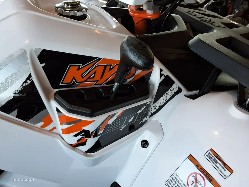 Kayo AU 13