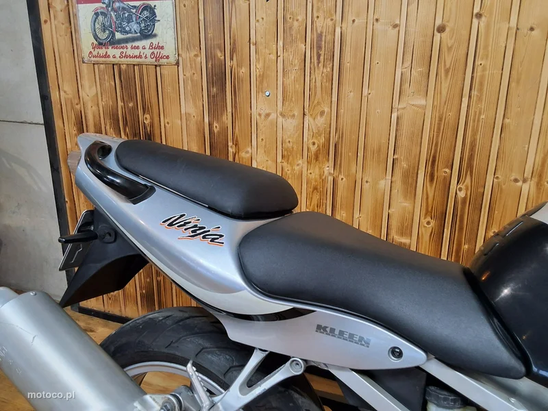 Kawasaki Ninja 7