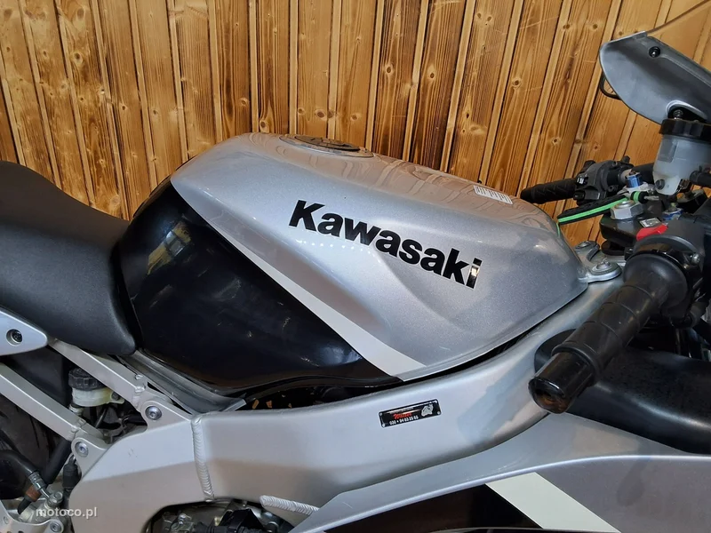 Kawasaki Ninja 9