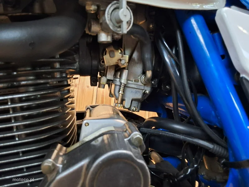 Suzuki DL 8