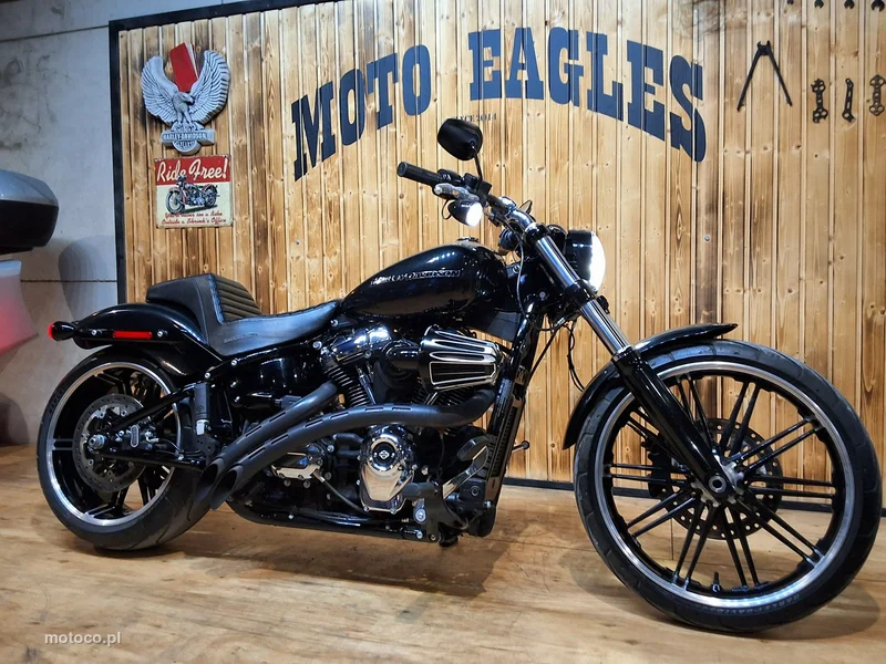 Harley-Davidson Softail 10