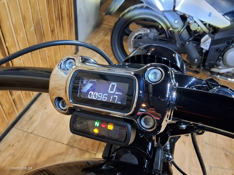 Harley-Davidson Softail 12