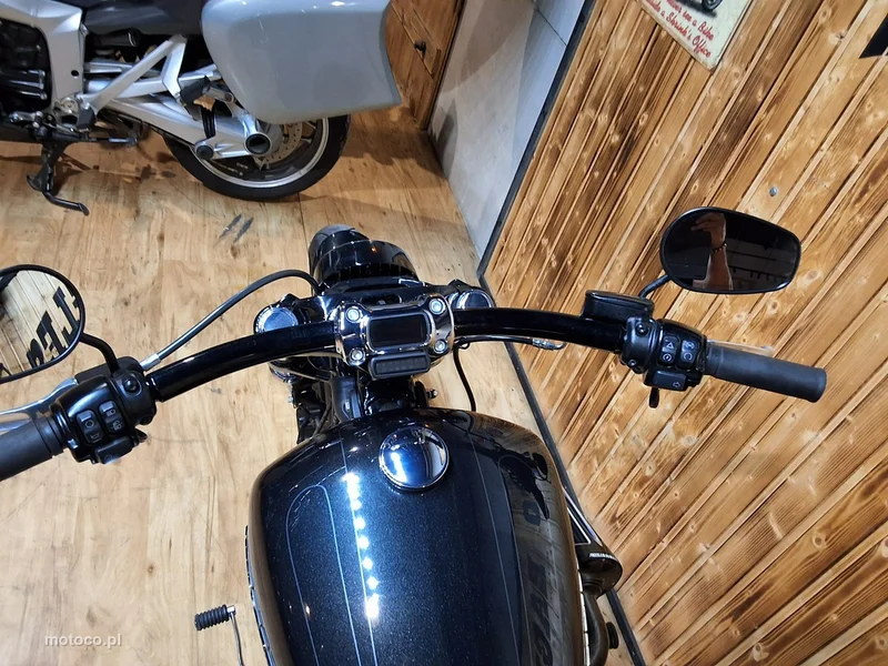 Harley-Davidson Softail 19