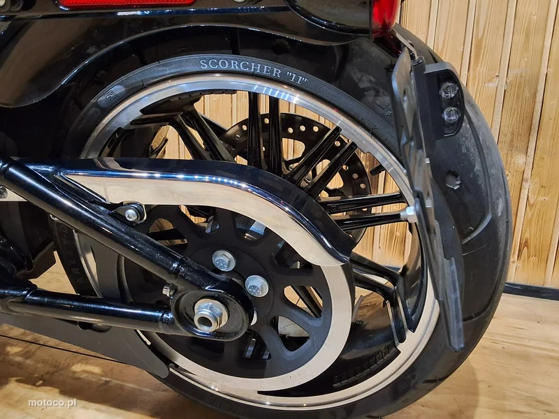 Harley-Davidson Softail 21